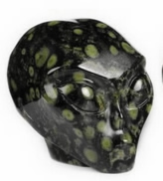 Kambaba Jaspis Alien Skull